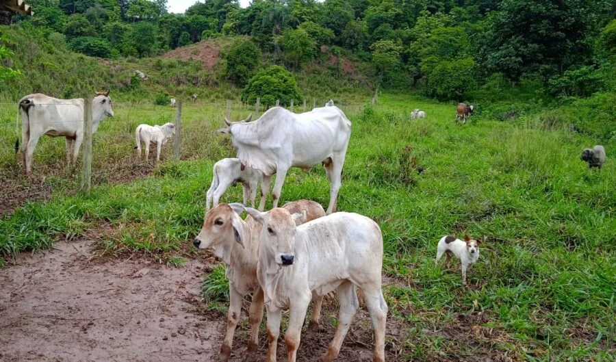 news 5977 1791641611